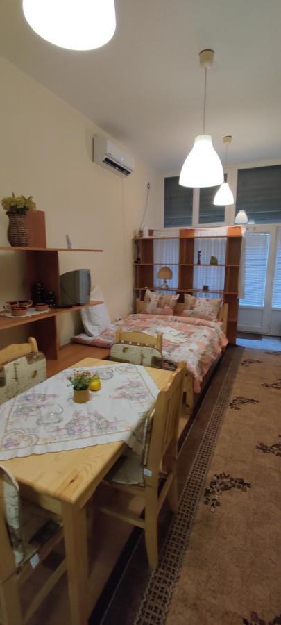 Comfortable And Cosy Studio Near Ndk Софія Екстер'єр фото